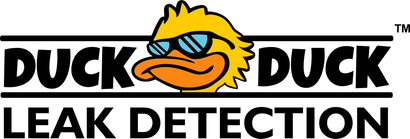 Duck Duck Leak Detection