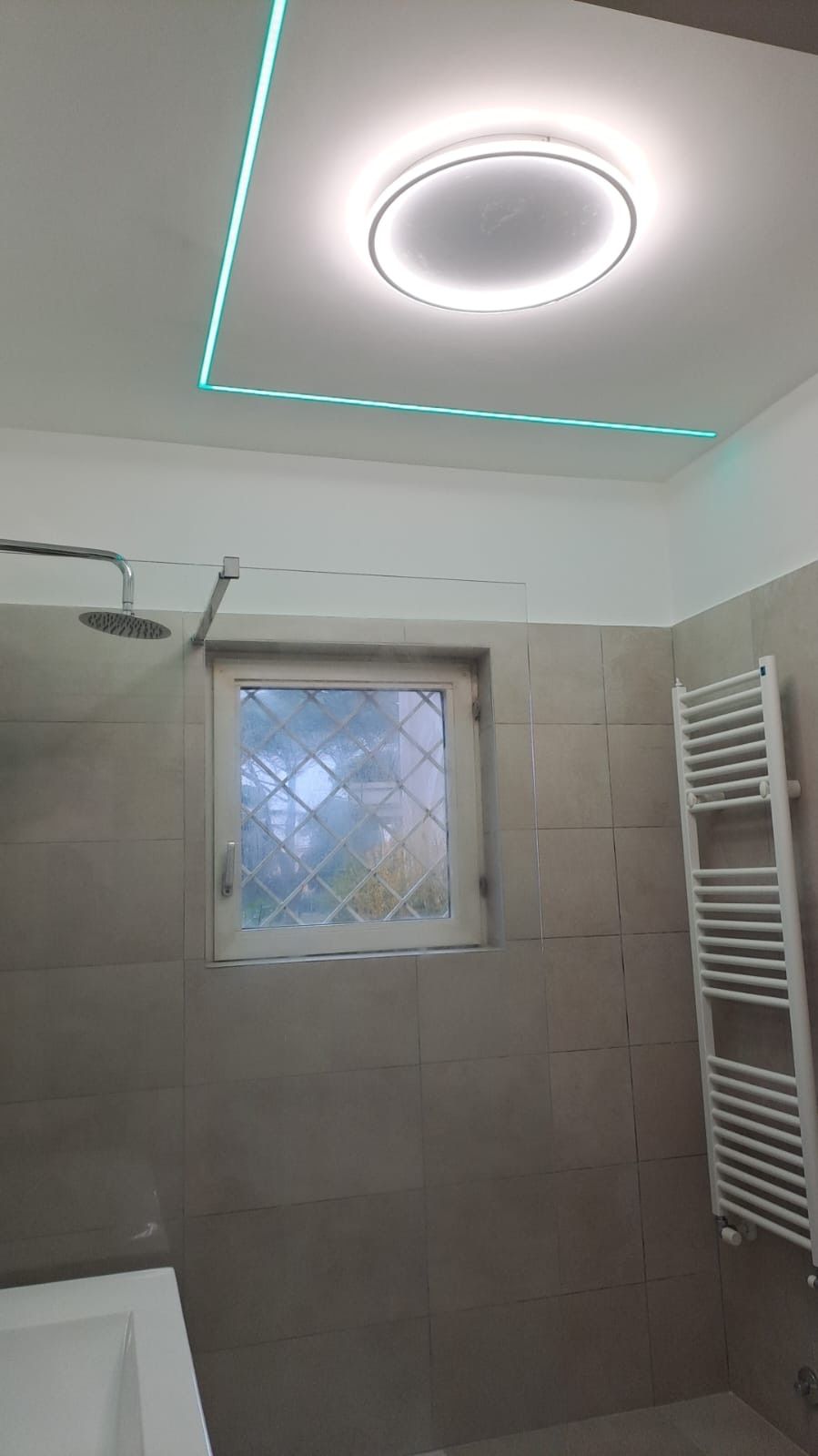 Un bagno con doccia, lavandino, portasciugamani e finestra.