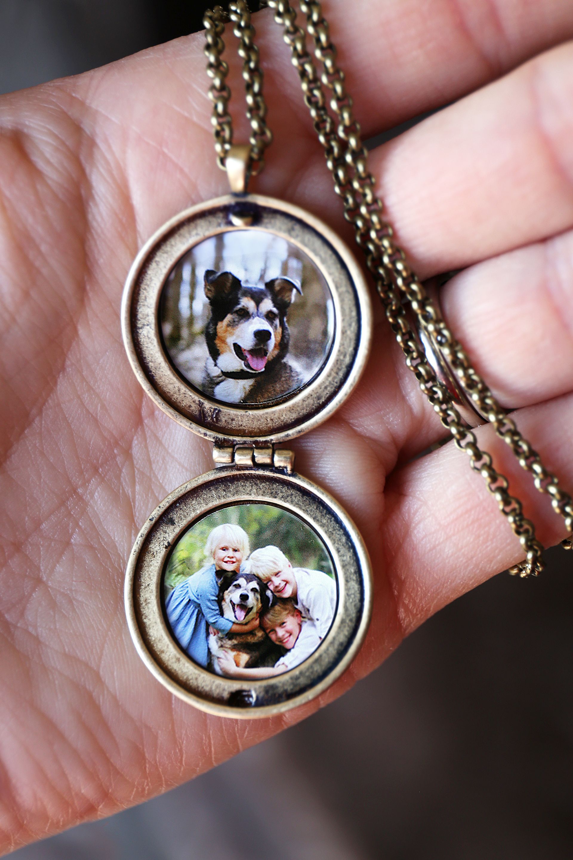 Locket with a Picture of a Family and their Pet - Sydney, NSW - Compass Pet Heritage Cemetery & Crematorium