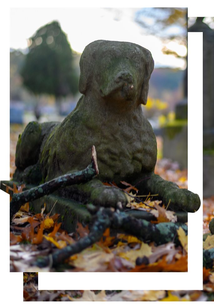 A Old Dog Statue in Cemetery - Sydney, NSW - Compass Pet Heritage Cemetery & Crematorium