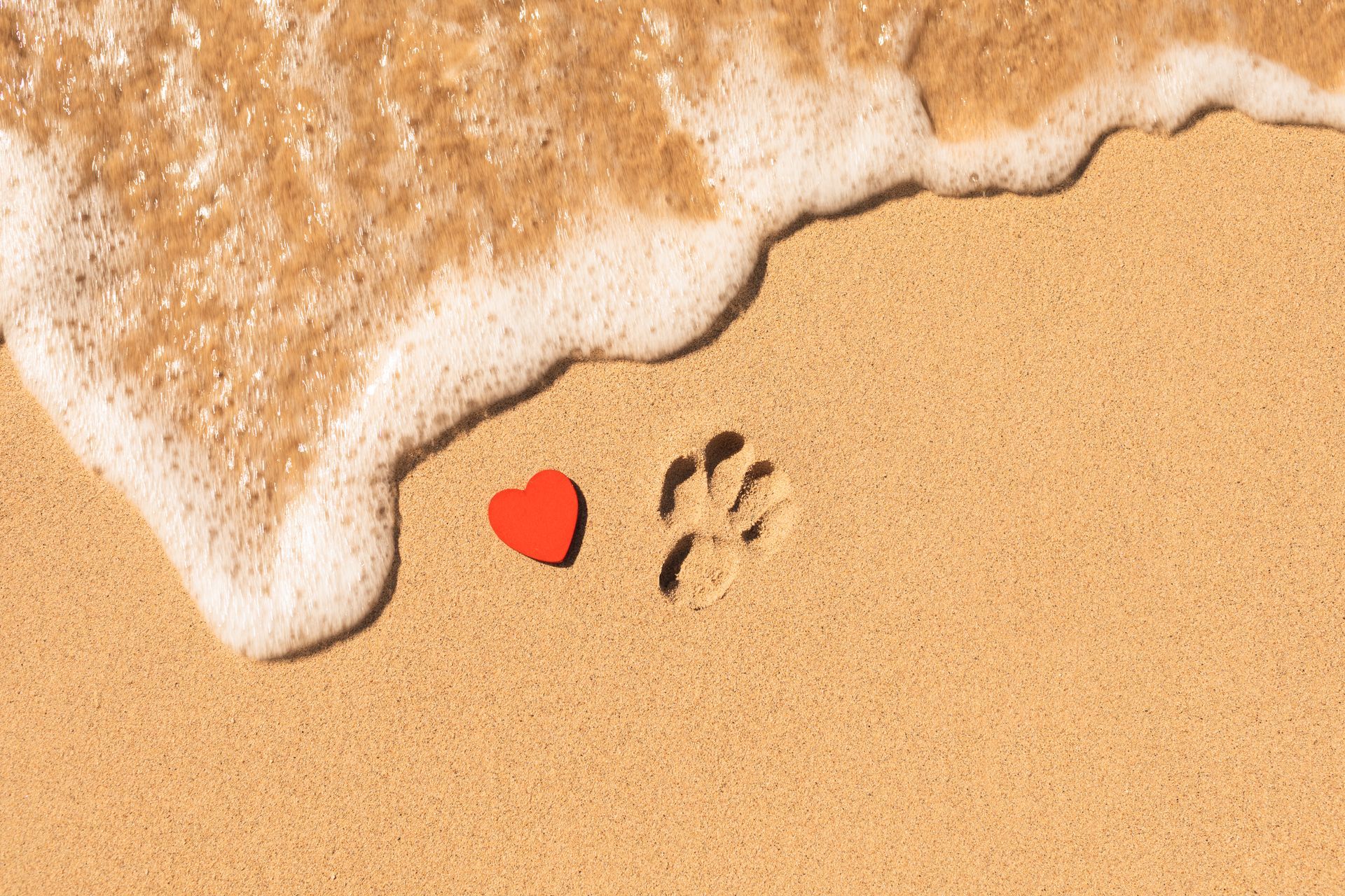 Paw Print on a Beach with Heart Shape - Sydney, NSW - Compass Pet Heritage Cemetery & Crematorium