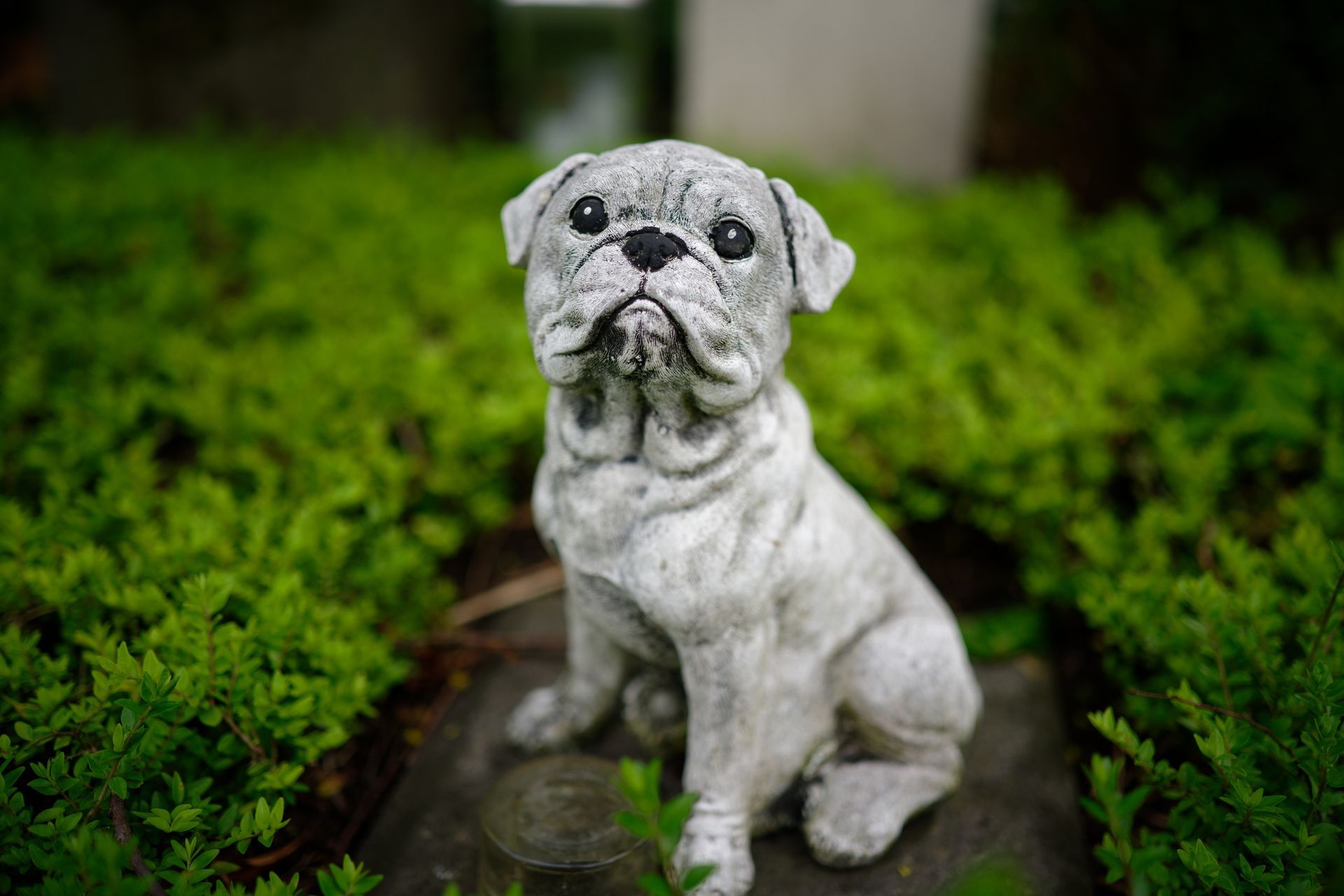 A Dog Statue in Cemetery - Sydney, NSW - Compass Pet Heritage Cemetery & Crematorium