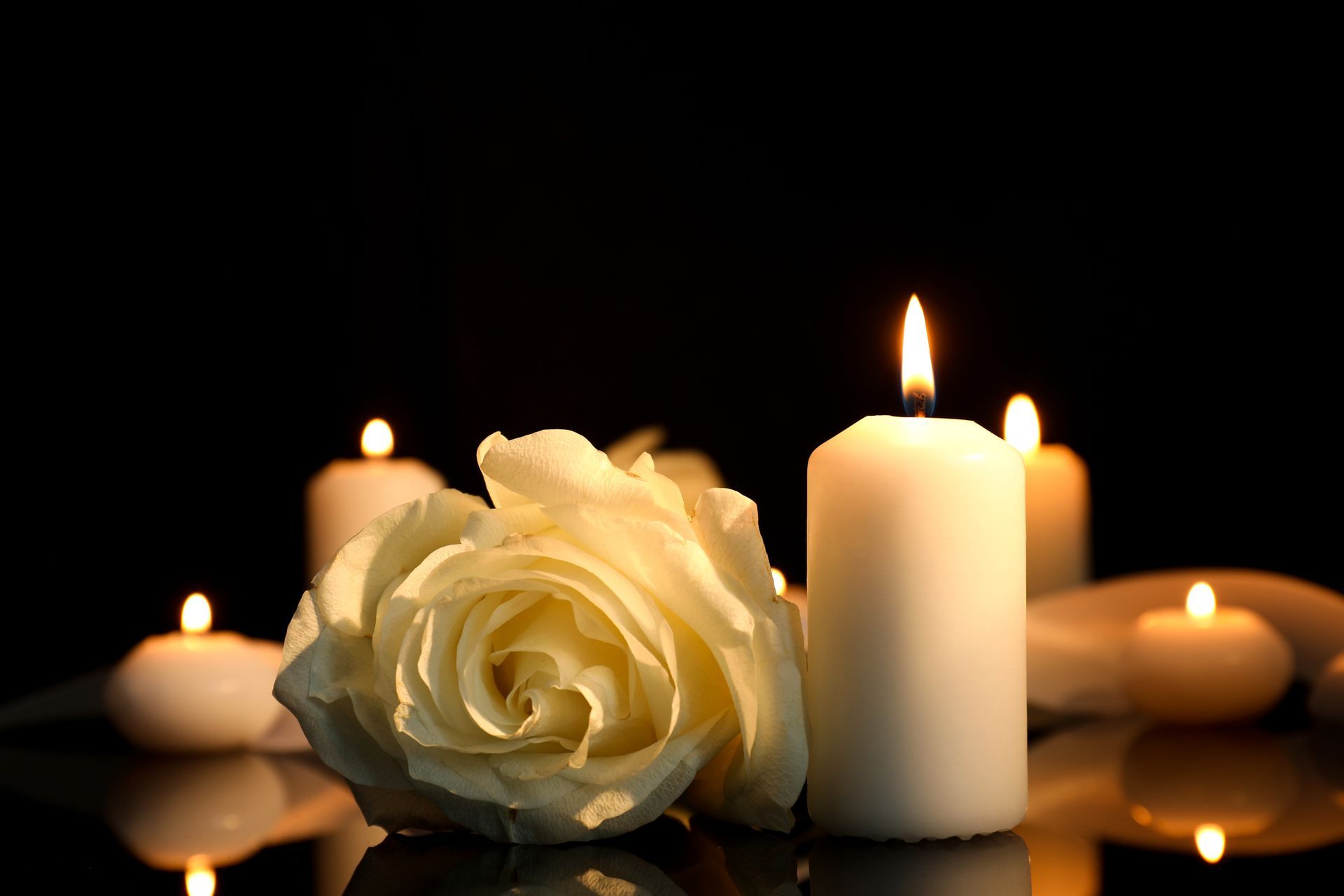 White Rose and Candle - Sydney, NSW - Compass Pet Heritage Cemetery & Crematorium
