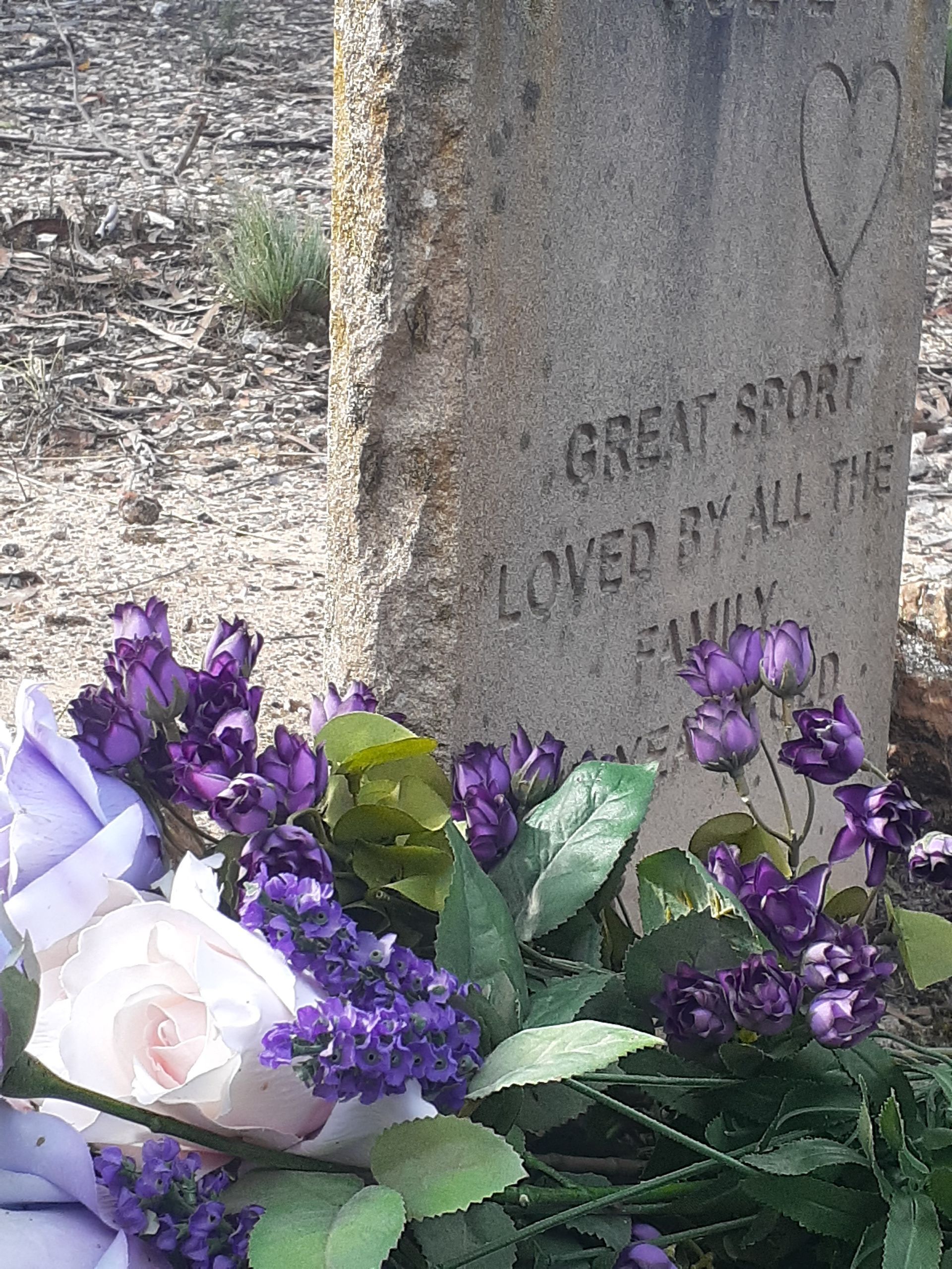 Yellow Flower - Sydney, NSW - Compass Pet Heritage Cemetery & Crematorium
