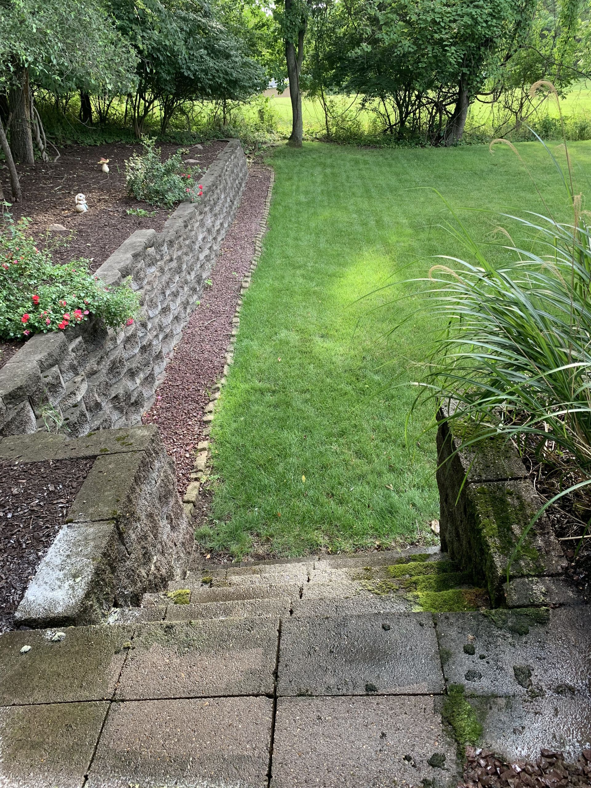 Grass - Irwin, PA - Clean and Serene Pressure Washing
