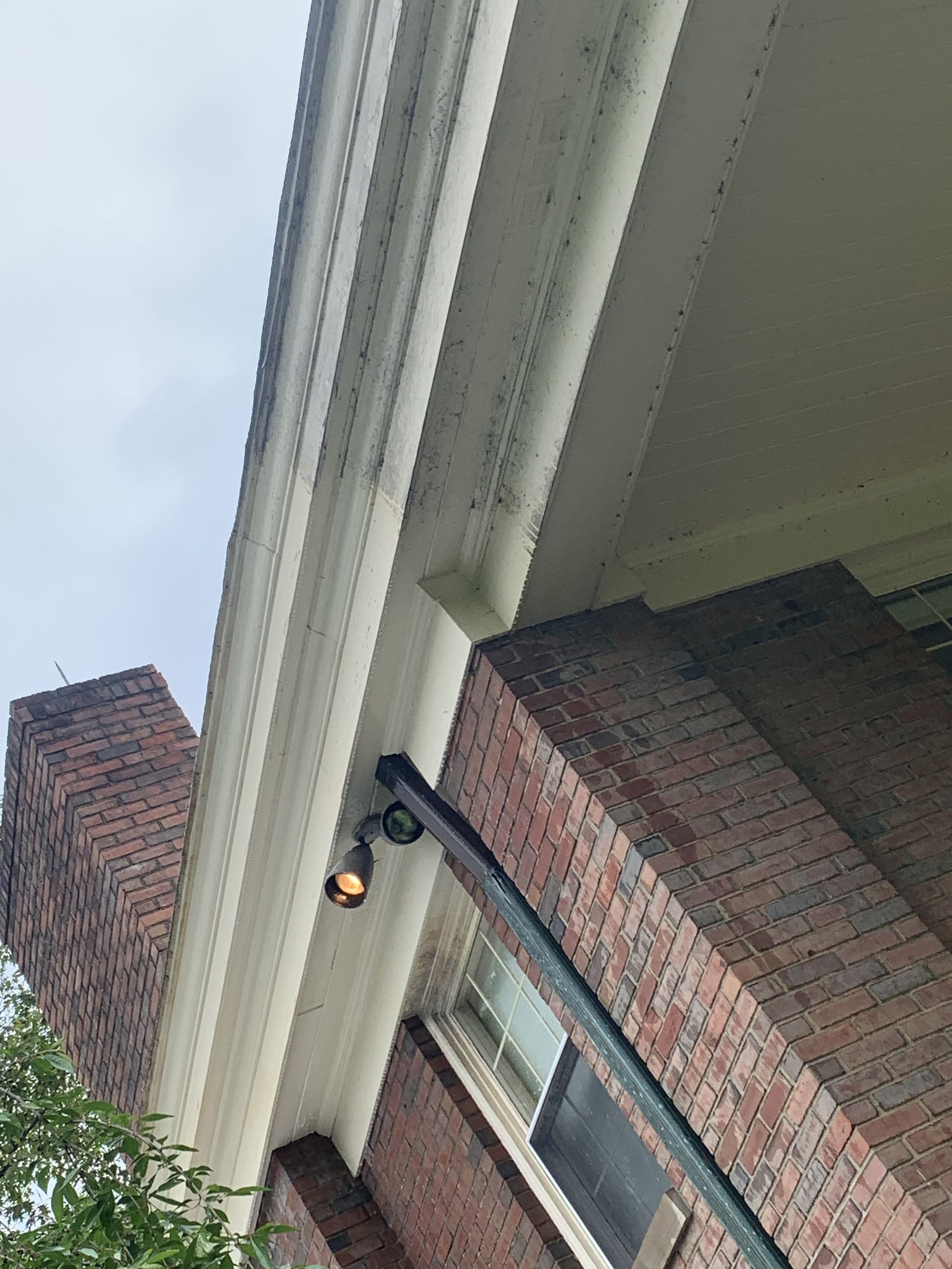 Dirty Gutter - Irwin, PA - Clean and Serene Pressure Washing