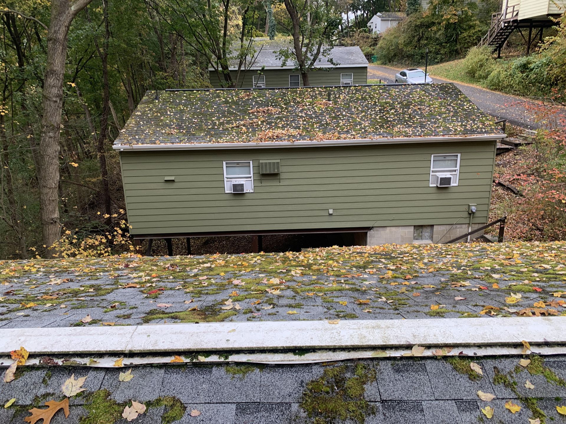 Roof With Leaves - Irwin, PA - Clean and Serene Pressure Washing