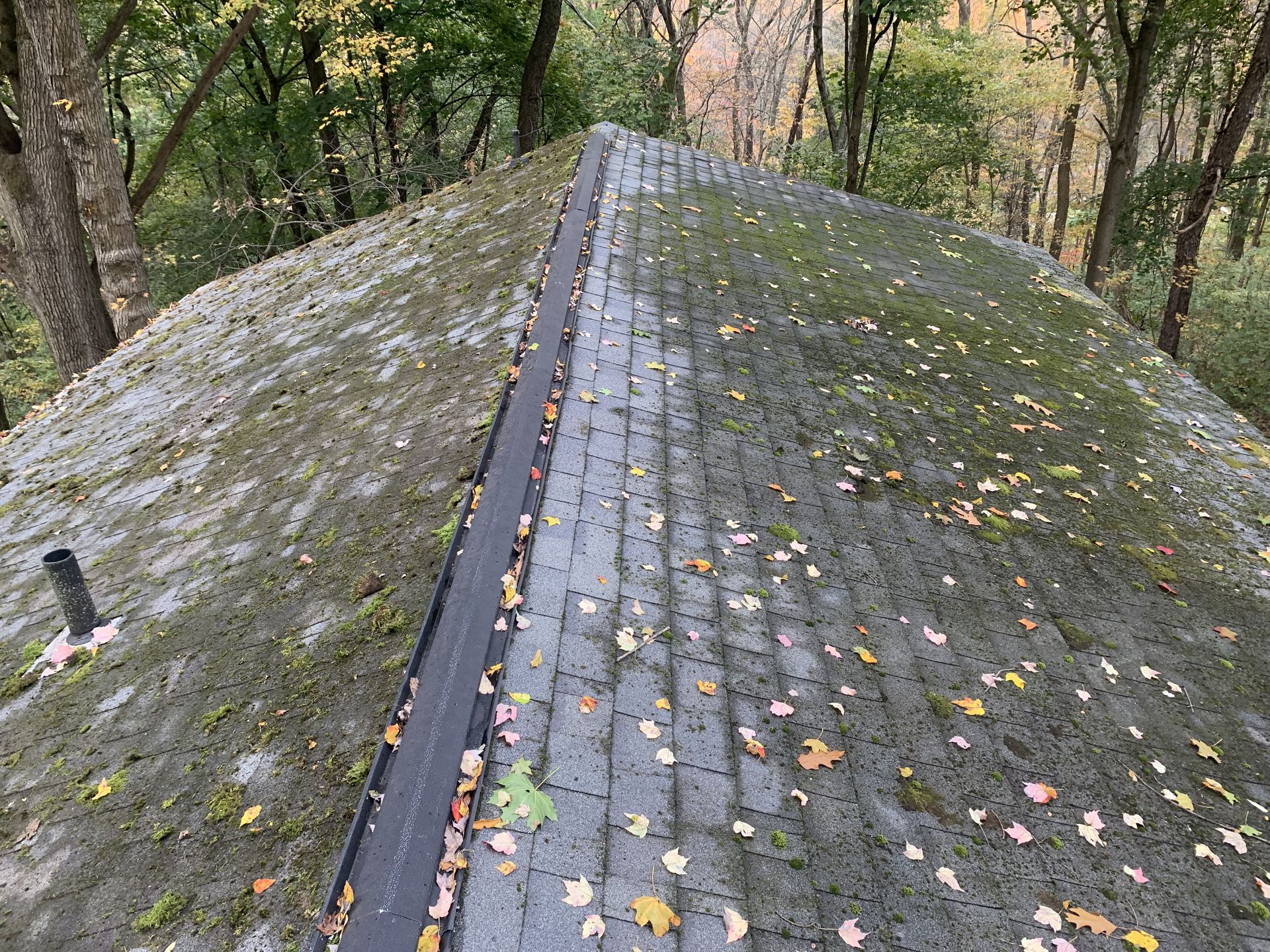Unclean Roof - Irwin, PA - Clean and Serene Pressure Washing