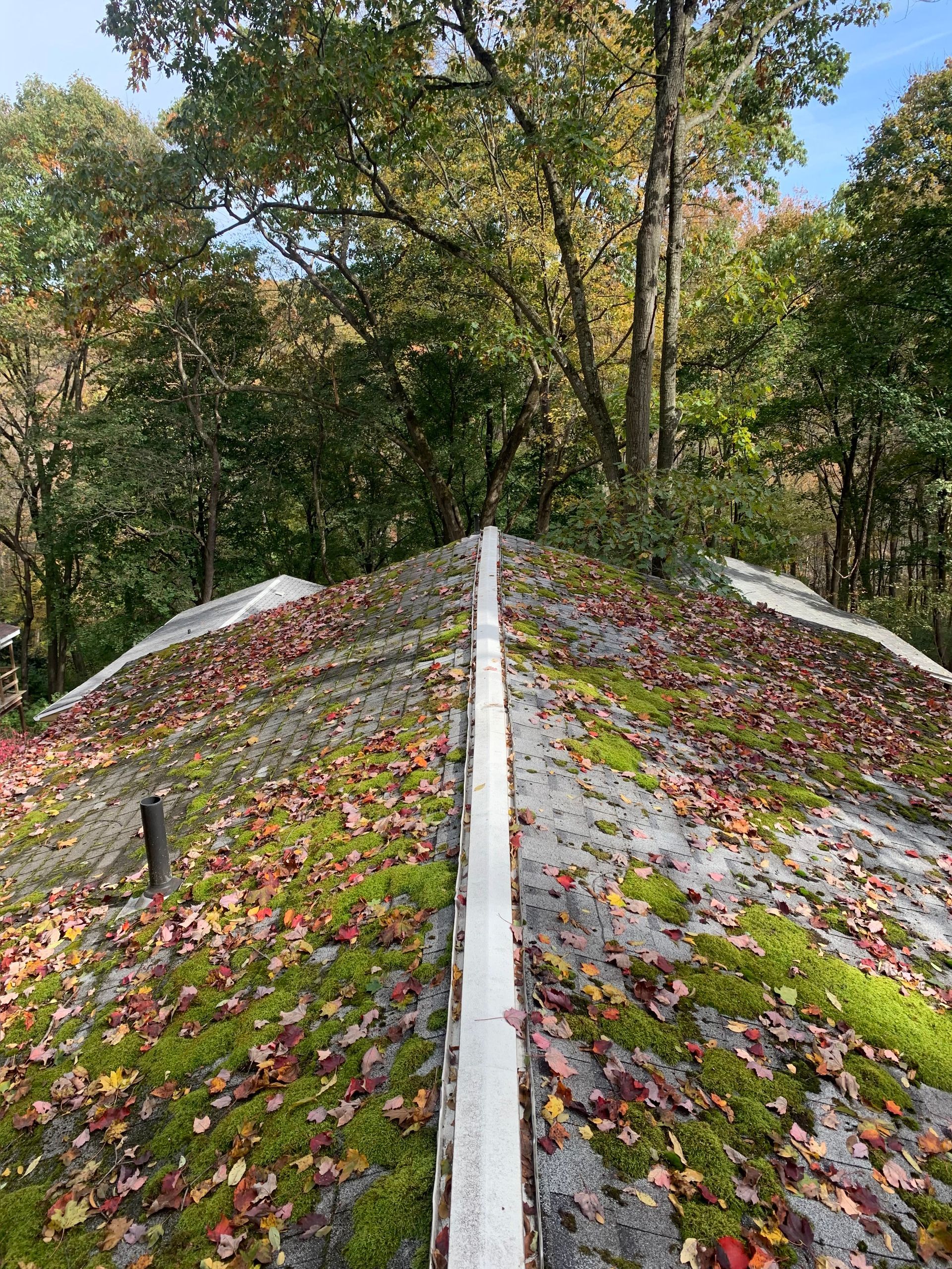Roof Full Of Leaves - Irwin, PA - Clean and Serene Pressure Washing