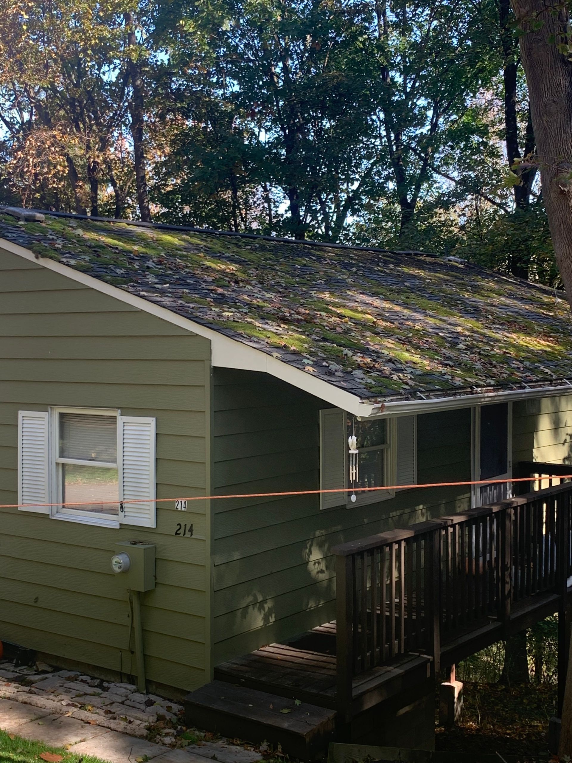 House Under Trees - Irwin, PA - Clean and Serene Pressure Washing