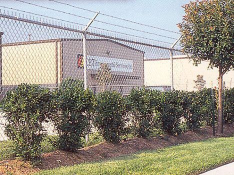 A chain link fence is surrounded by bushes and trees