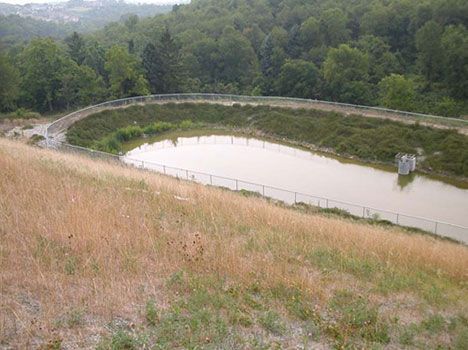 A large pond surrounded by tall grass and trees in the middle of a field.