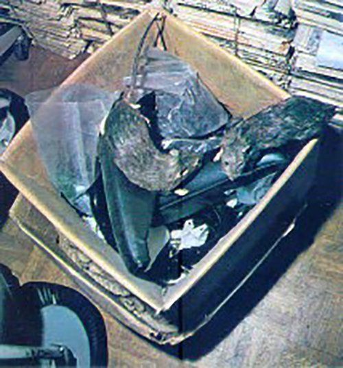 scatolone in un magazzino da disinfestare