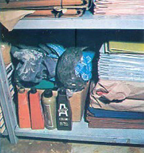 archivio da disinfestare