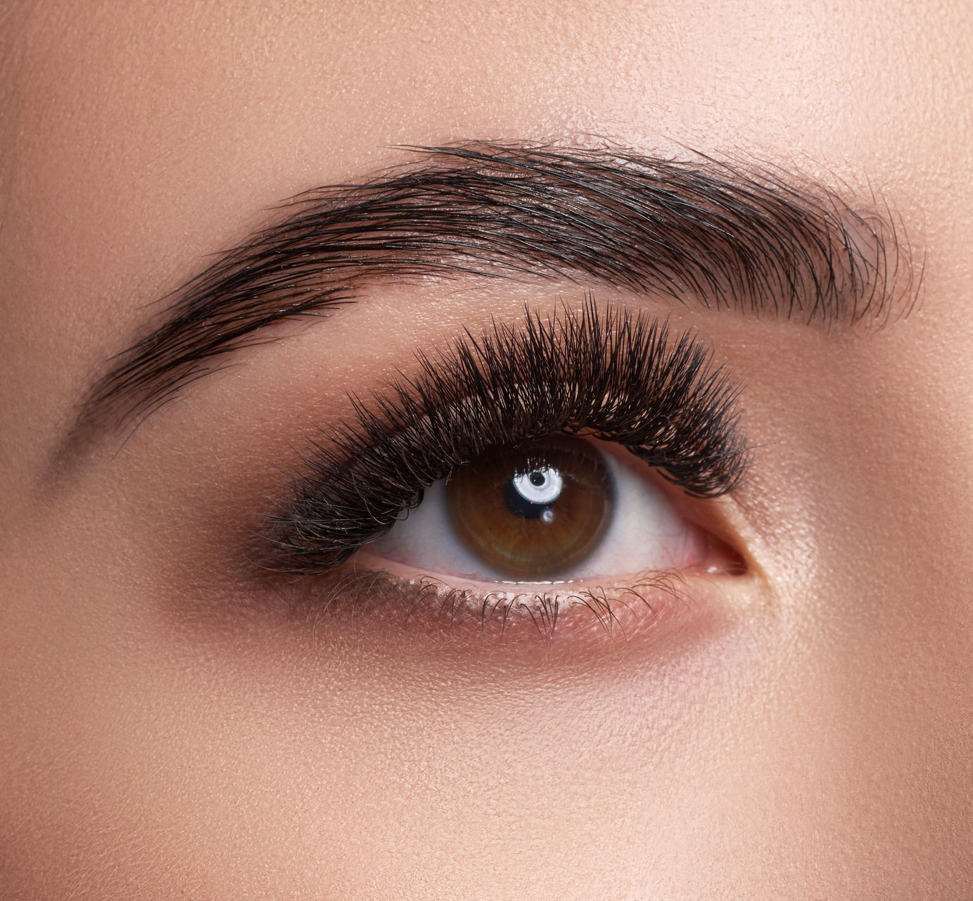Close-up of brown eyes with thick, dark lashes and expertly shaped, brushed-up eyebrows.