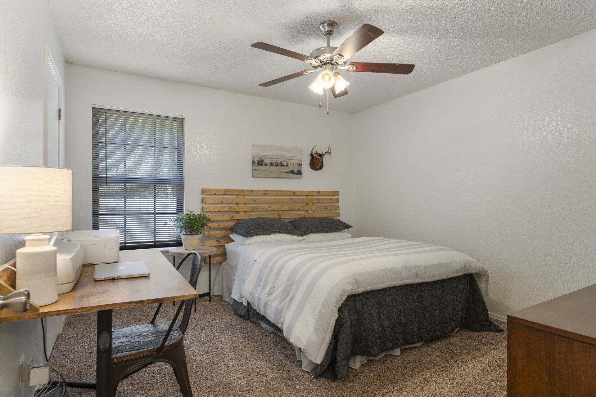 A bedroom with a bed , desk and ceiling fan.