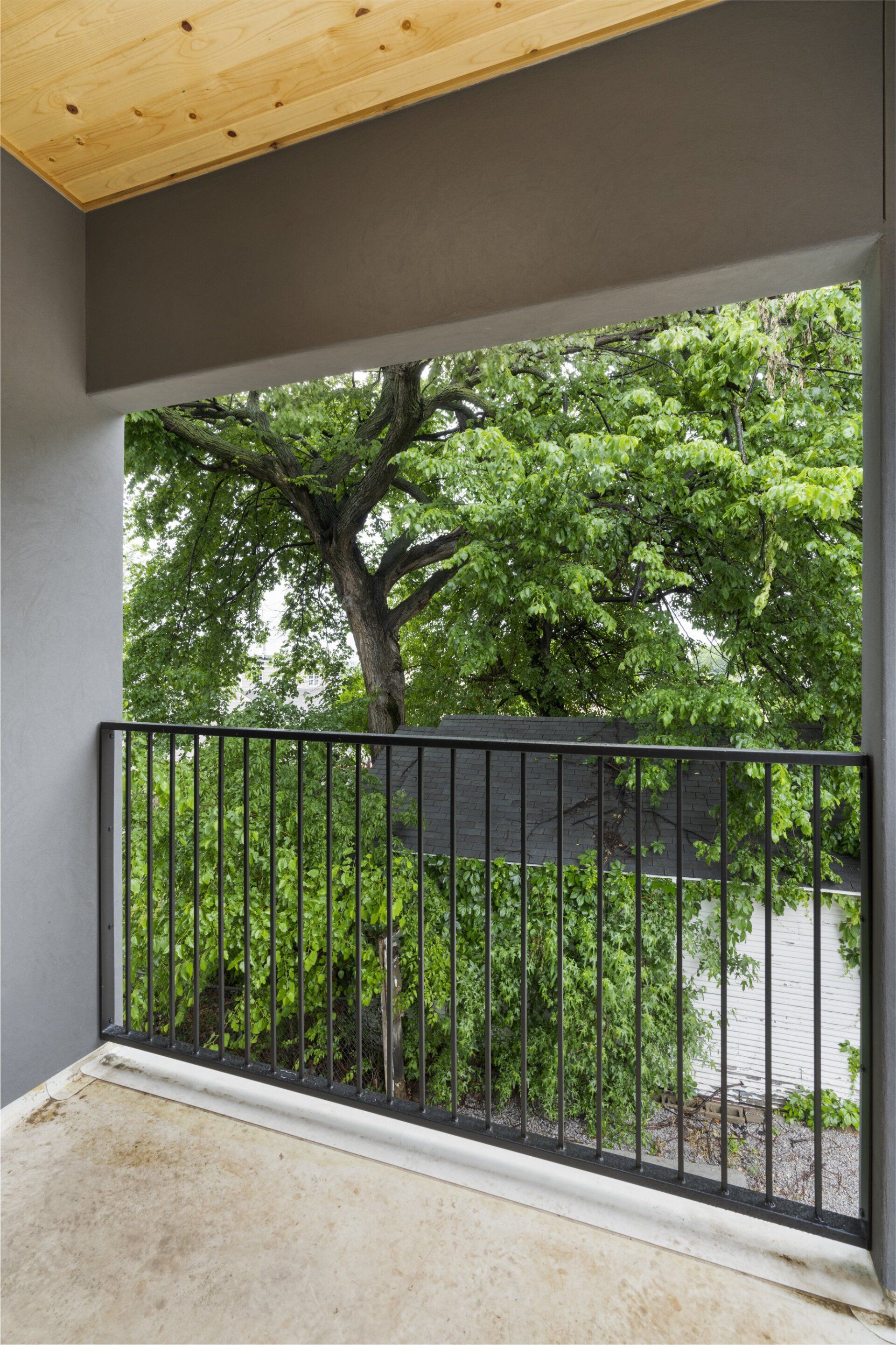 An empty balcony with a metal railing and a view of trees.