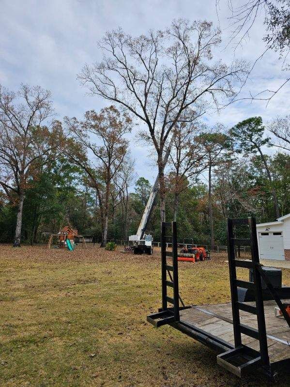 Pruning Shears — Crawfordville, FL — KC Tree