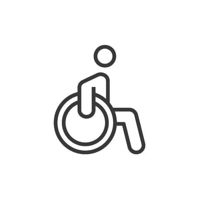 icona accesso disabili