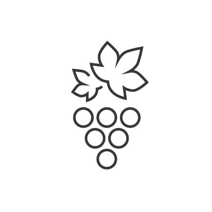 icona percorsi in vigna e uliveti