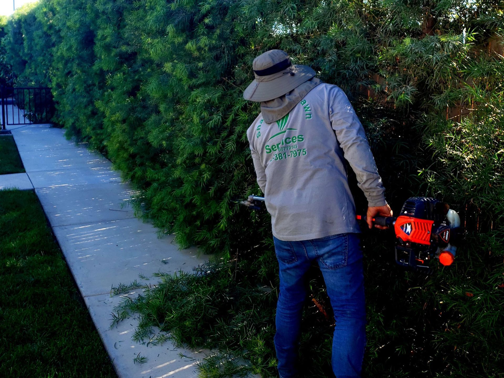 A worker in a long-sleeved shirt and sun hat uses a gas-powered trimmer to shape a large green hedge along a sidewalk.