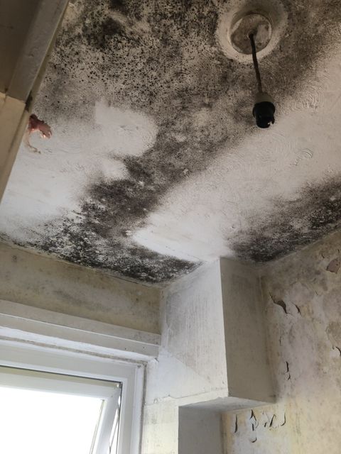 wall affected by condensation