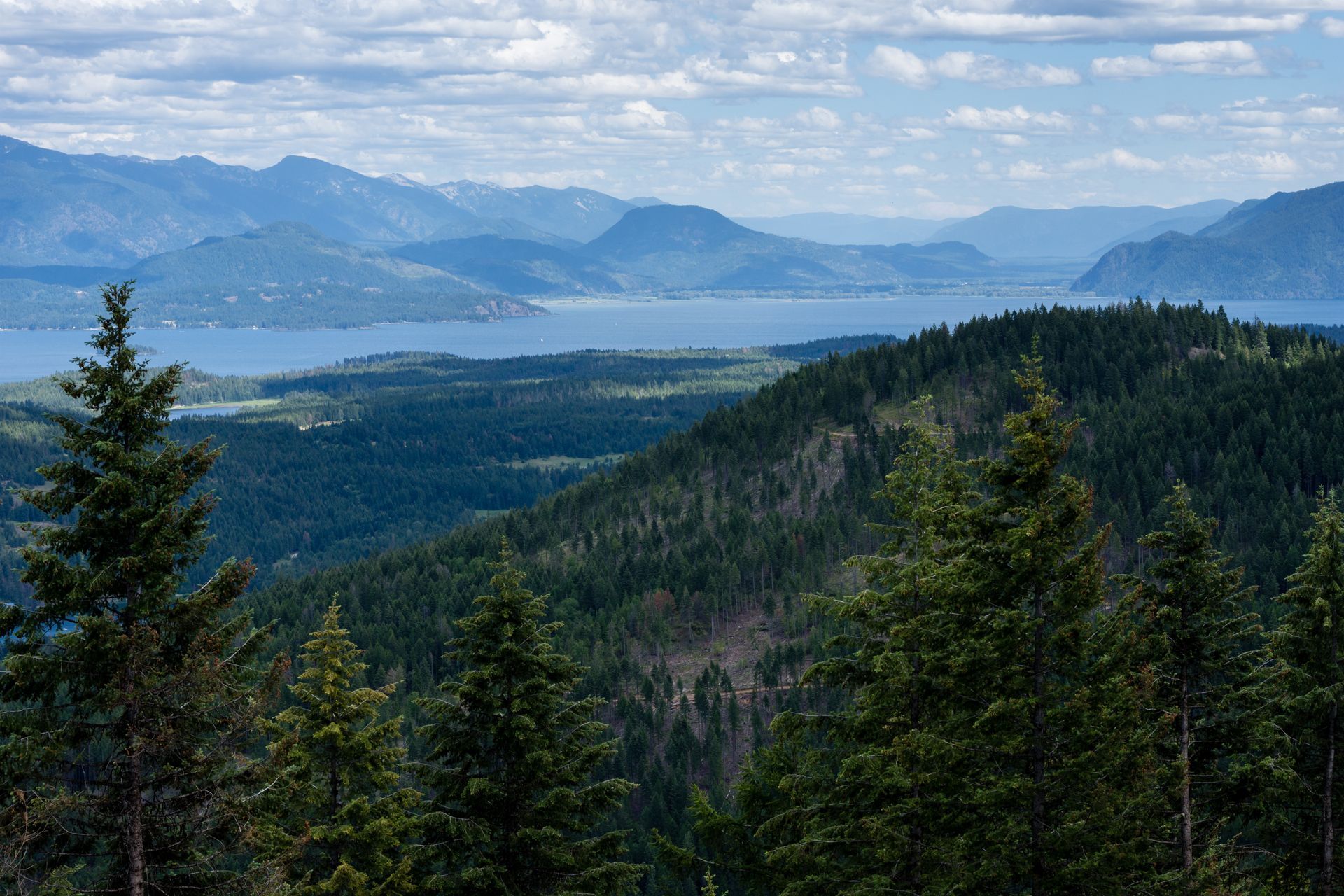 Lush green forest on hillsides, with a blue lake and distant mountains under a cloudy sky.