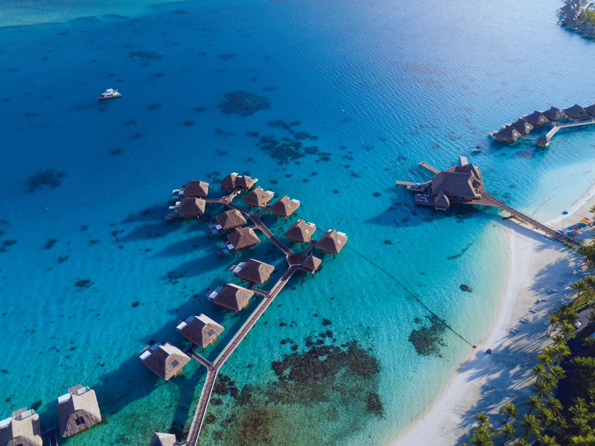 an aerial view of a tropical beach with bungalows in the water .
