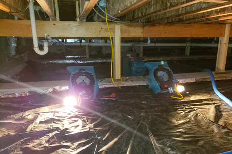 Under house cleaned up