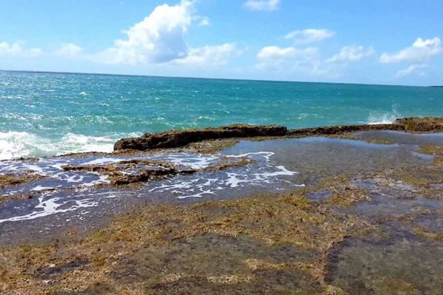 Praia dos Artistas - Natal RN
