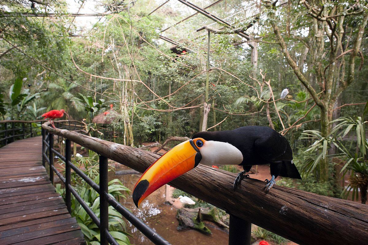 Parque das Aves