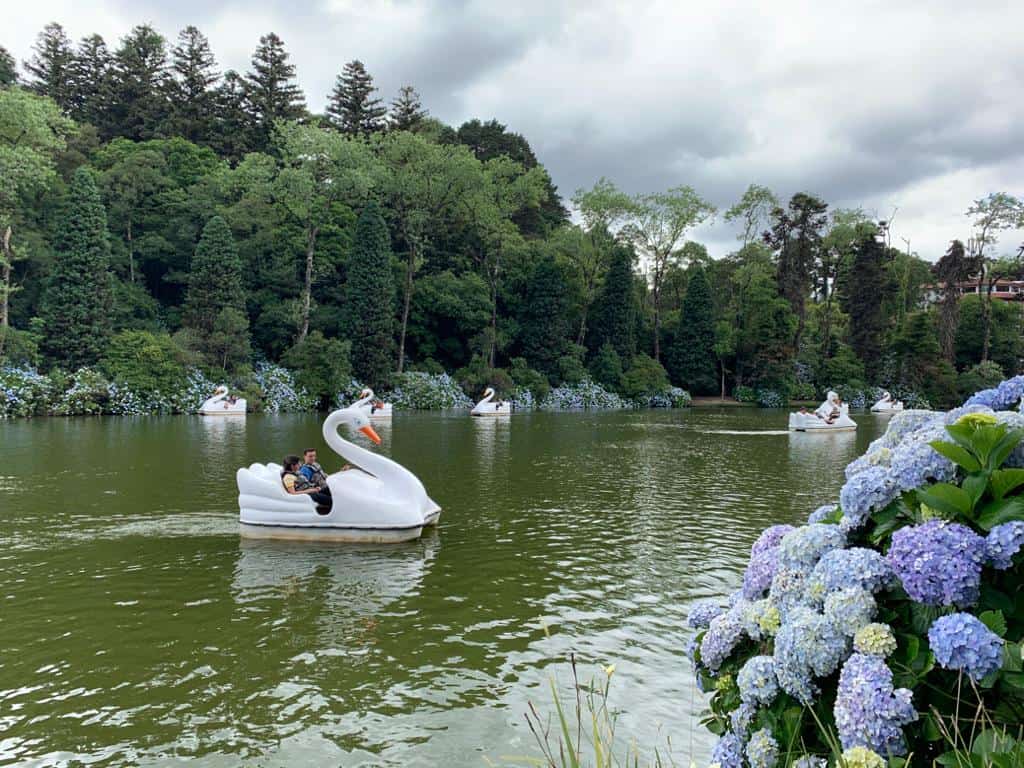 Conheça o Lago Negro