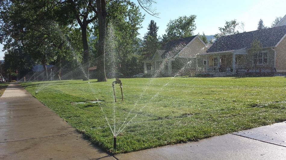 Watering the Lawn - Boulder Lawns in Boulder, CO