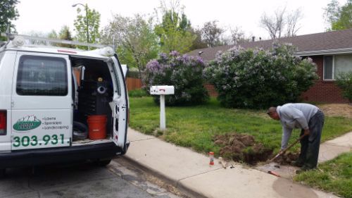 Tree and Shrub Removal - Boulder Lawns in Boulder, CO