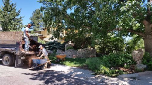 Tree Clean up Services - Boulder Lawns in Boulder, CO