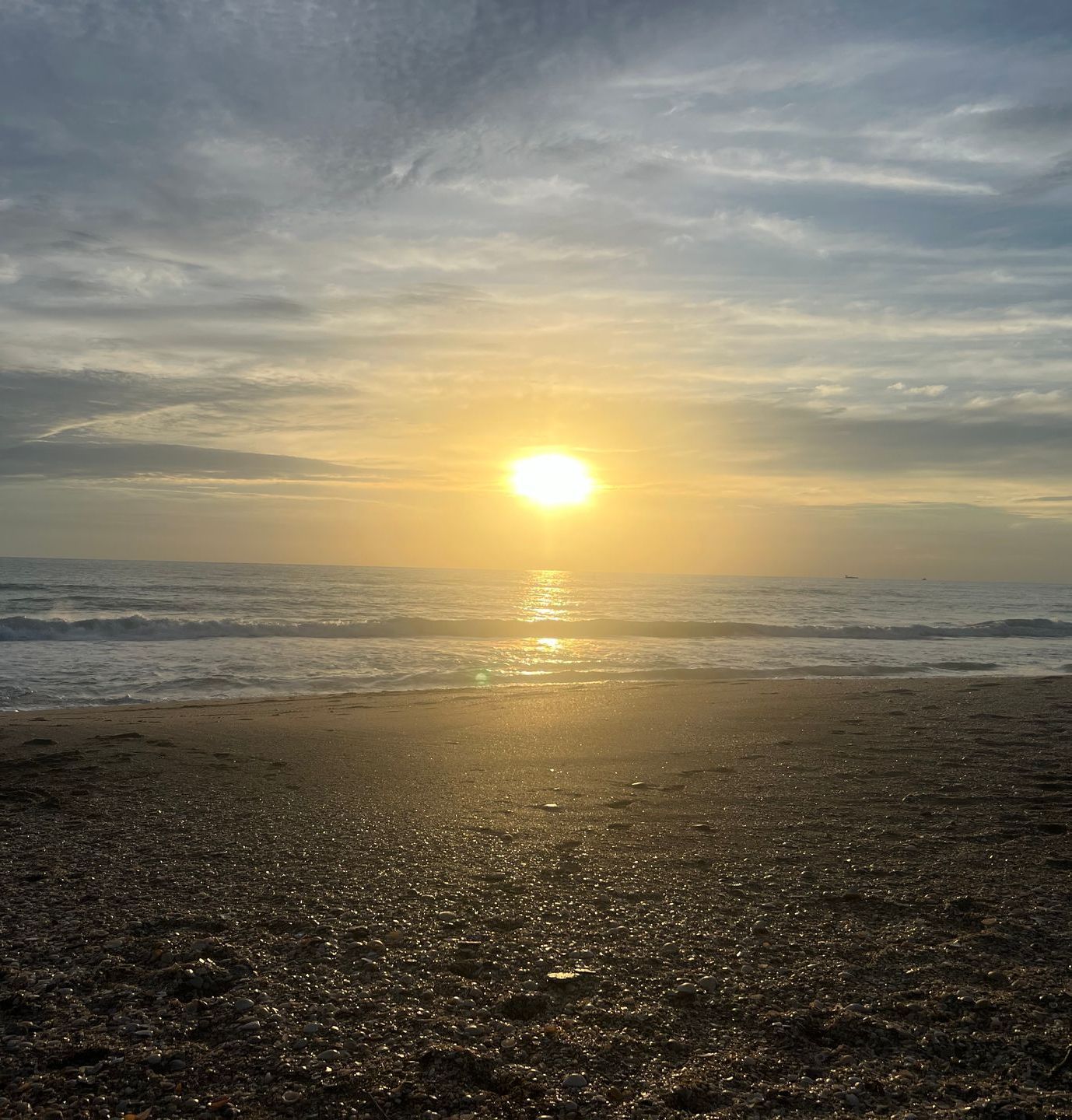 A close up of a blue butterfly sitting on the ground.