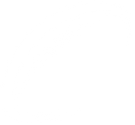 Blank white background.