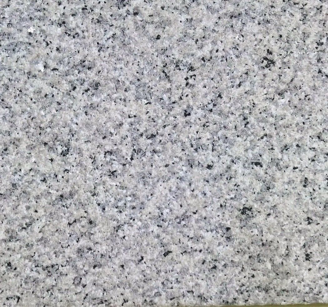 White Gallura
