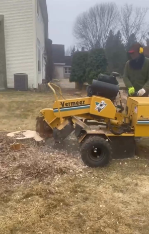 stump grinding