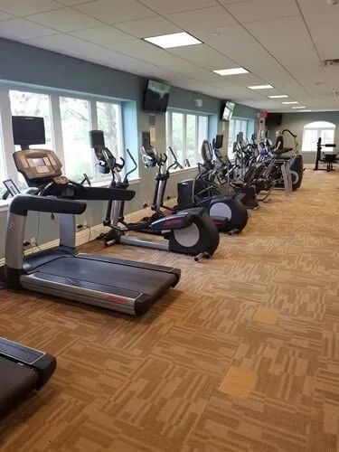 There are many different types of exercise equipment in this gym.