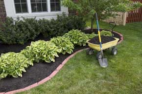 Landscape Shrubbery - Lawn Care, Landscaping, and Snow Removal in Medina, Ohio