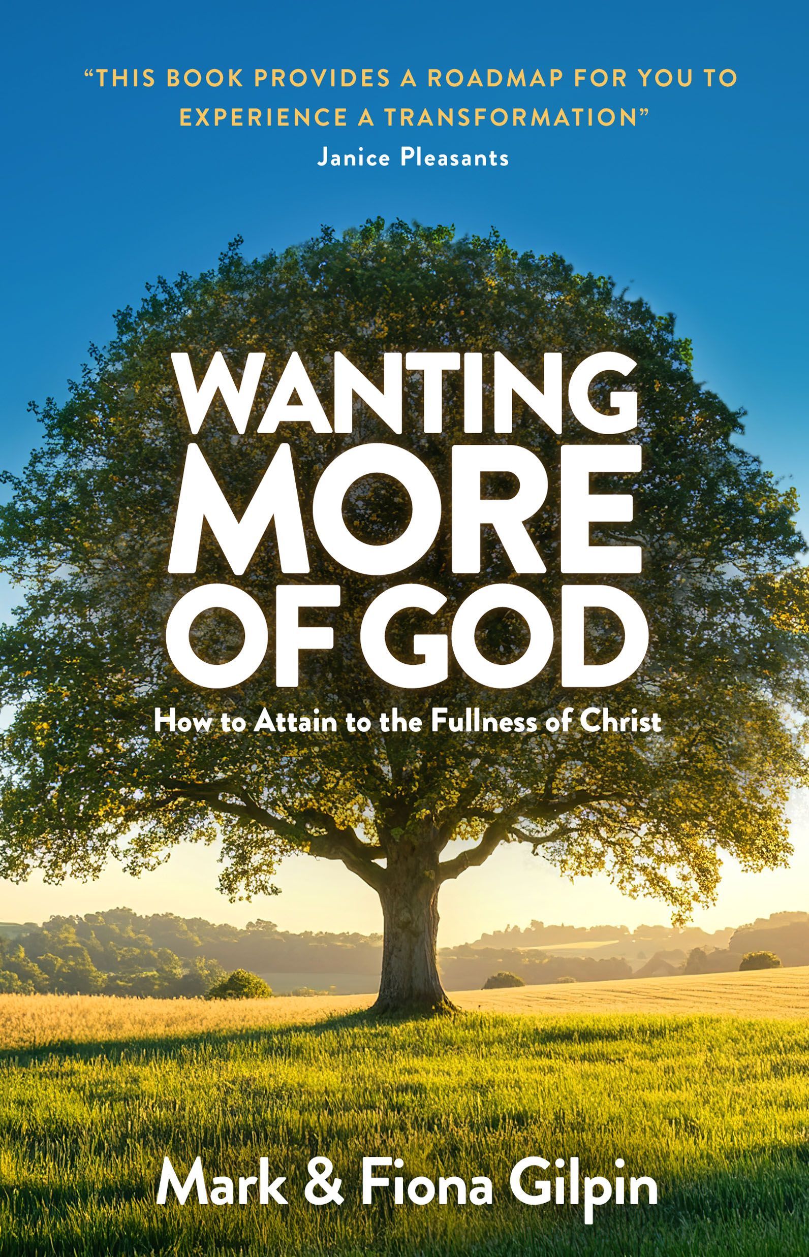 Wanting More of God book cover. Mature oak tree in a field.