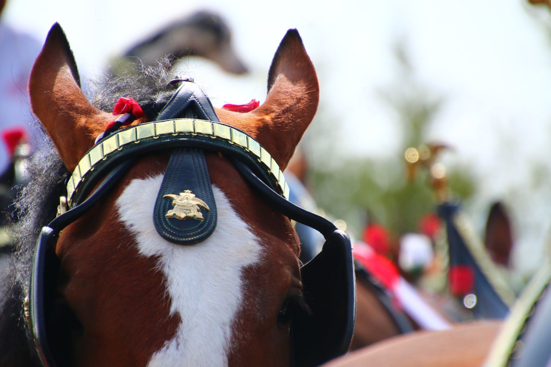 brooks retail liquor store in salina ks