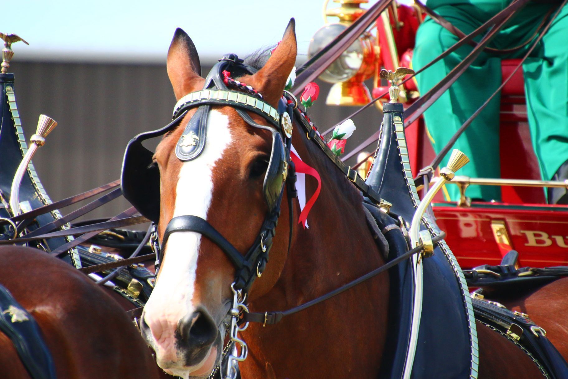 brooks retail liquor store in salina ks