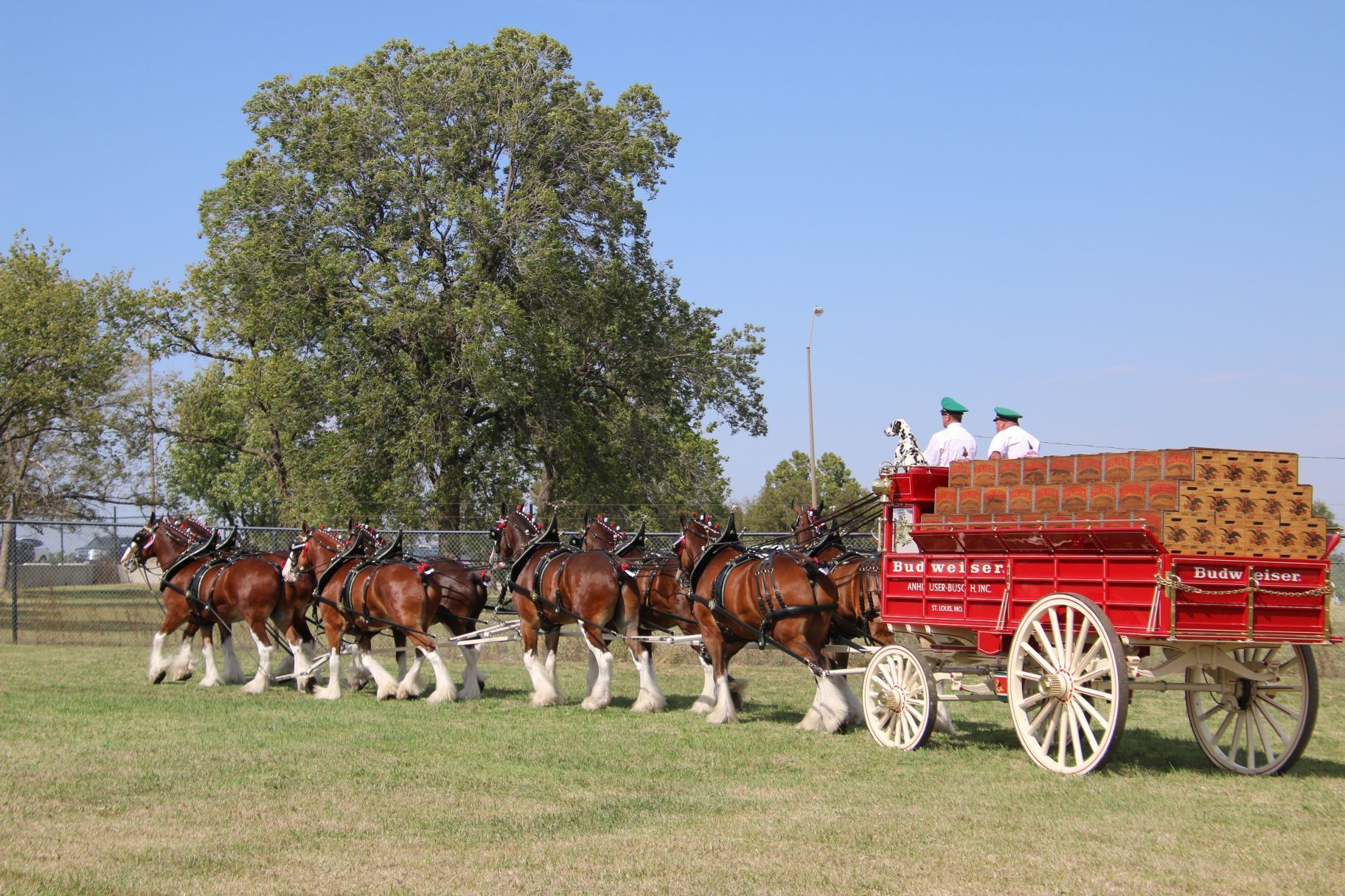 brooks retail liquor store in salina ks