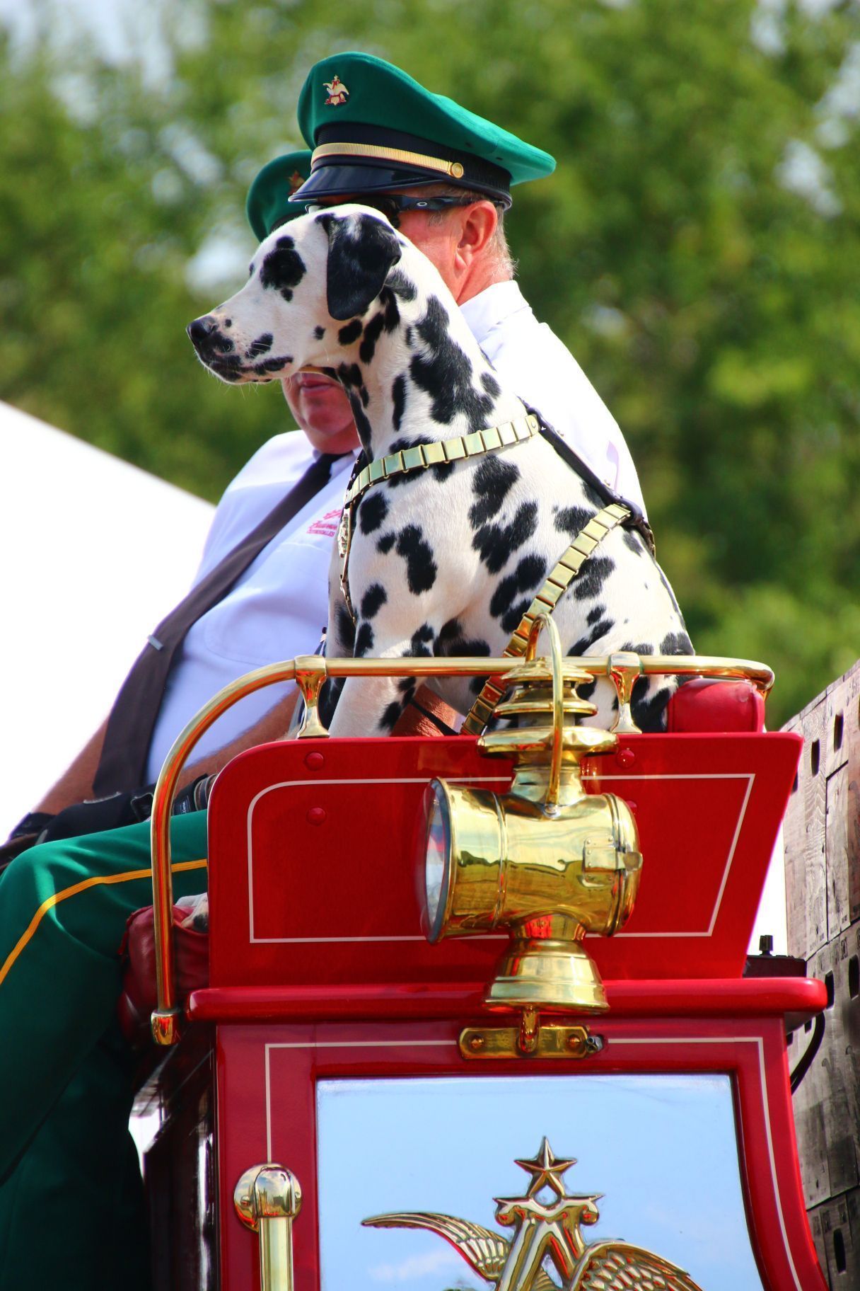 brooks retail liquor store in salina ks