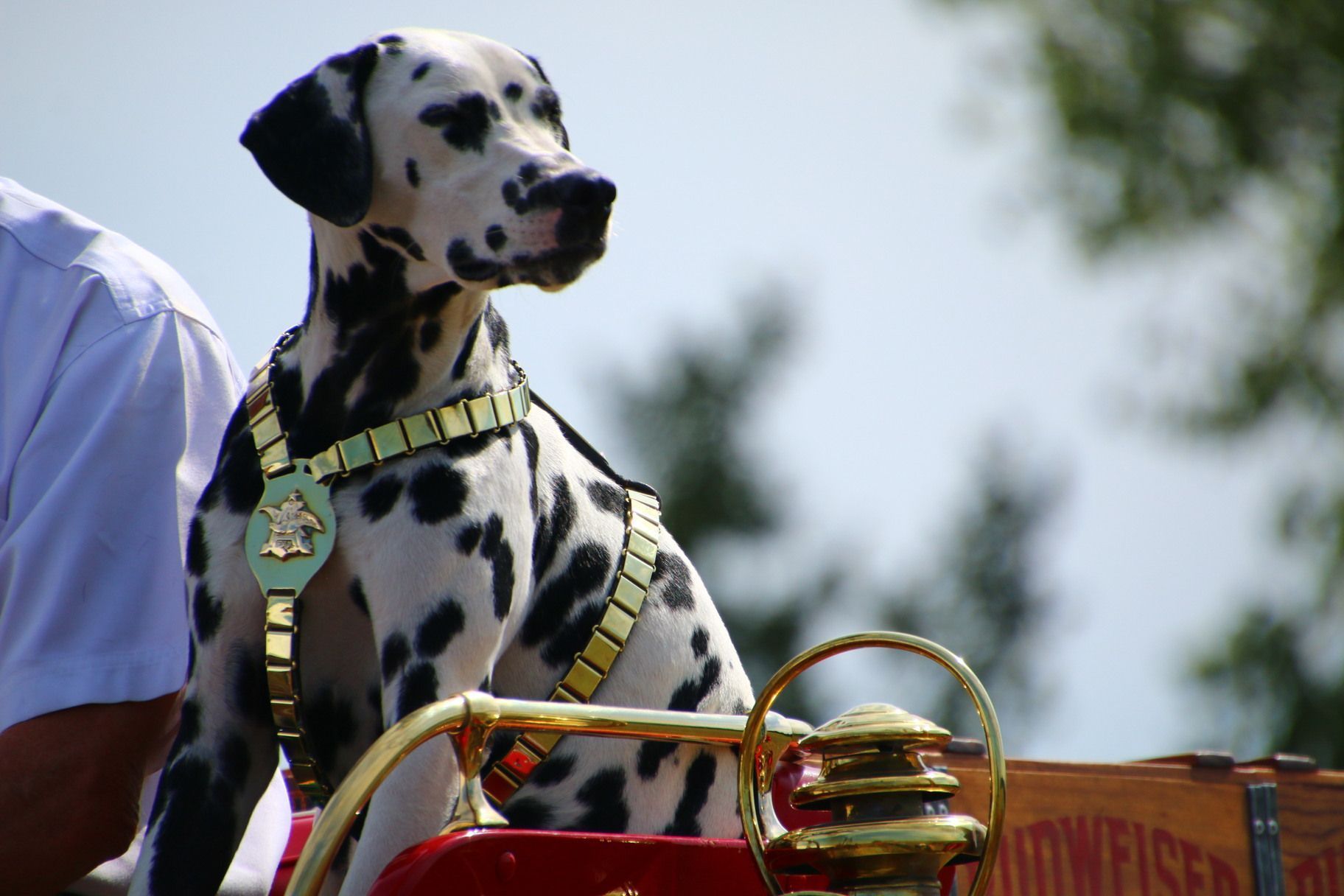 brooks retail liquor store in salina ks
