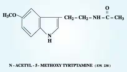 Figure 1. Structure of Melatonin (C13H16N2O2)