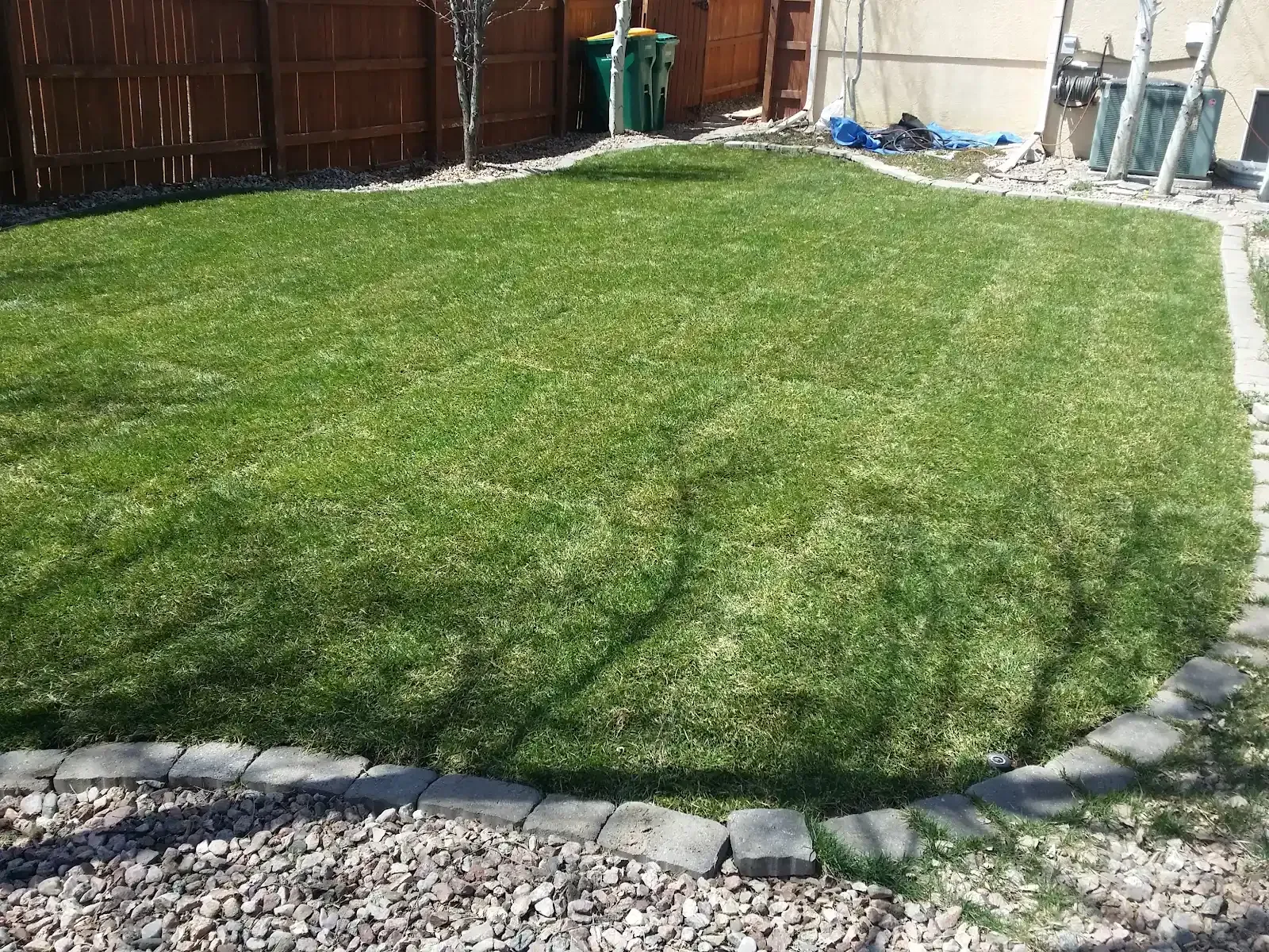 Small grassy backyard bordered by stone edging and a wooden fence, with a shed and garden items in the background