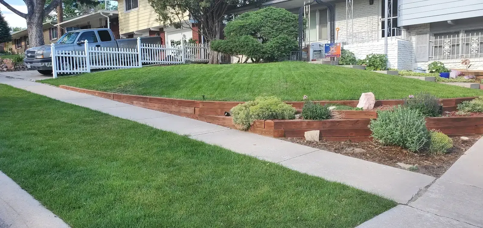 Suburban apartment sidewalk with manicured lawns, shrubs, and a small landscaped bed beside homes